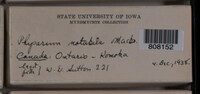 Image Associated With the Occurence